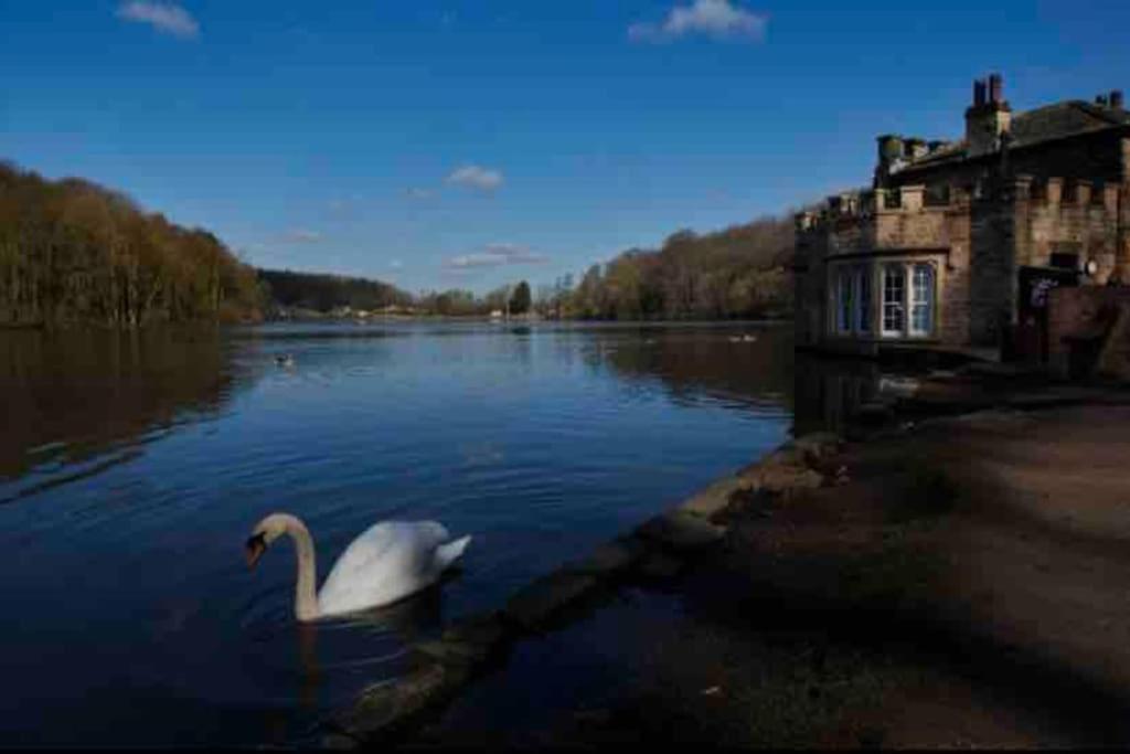 Millstone Cottage Newmillerdam Hill Top エクステリア 写真